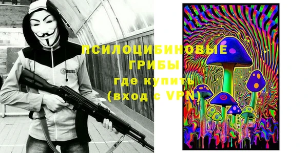 крисы Горно-Алтайск