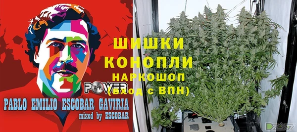 бутират Горнозаводск