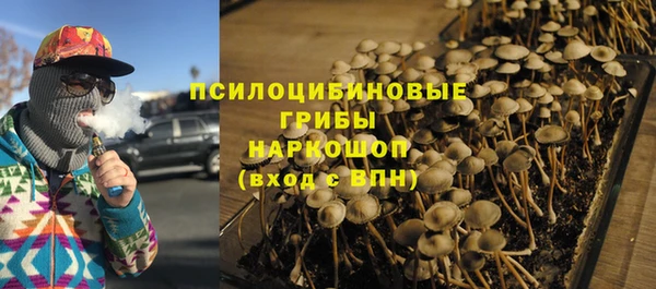 бутират Горнозаводск