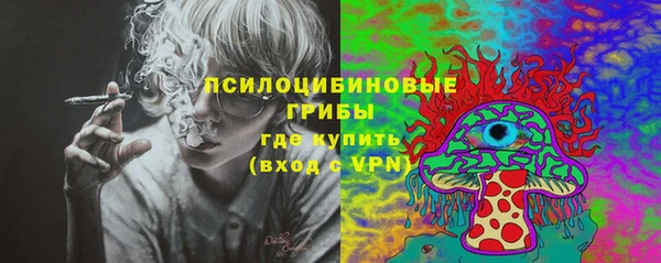 крисы Горно-Алтайск